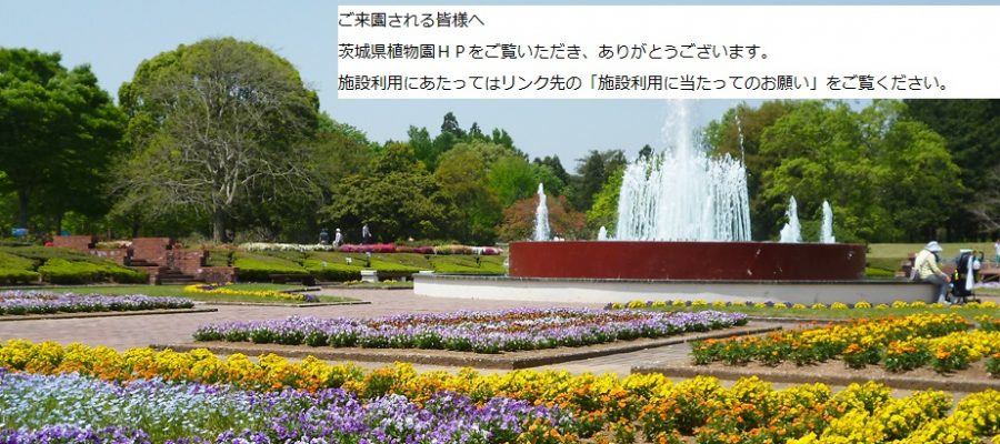 茨城県植物園 茨城県植物園で 色々な植物たちとふれあい 自然の素晴らしさを感じてください