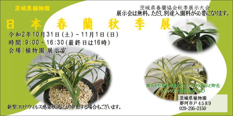 催し物案内 茨城県植物園