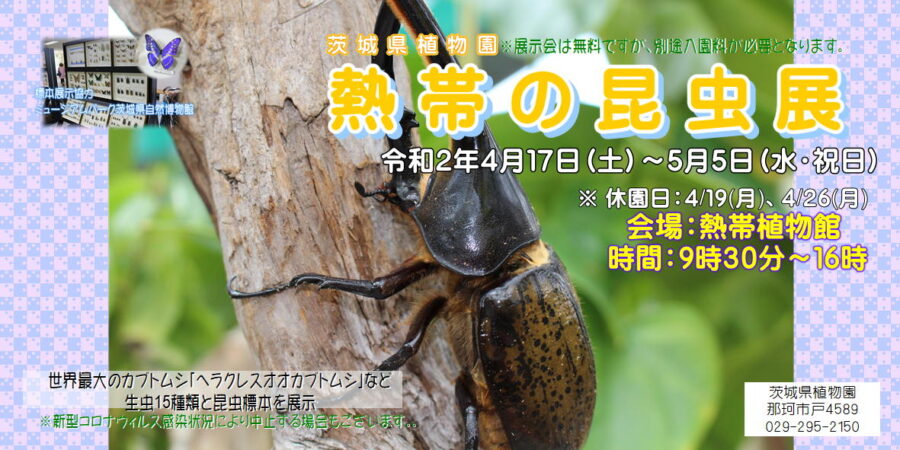 催し物案内 茨城県植物園