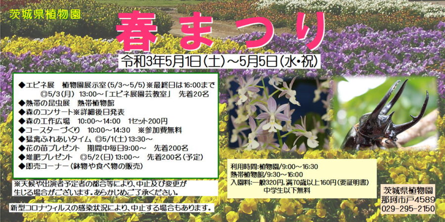 催し物案内 茨城県植物園