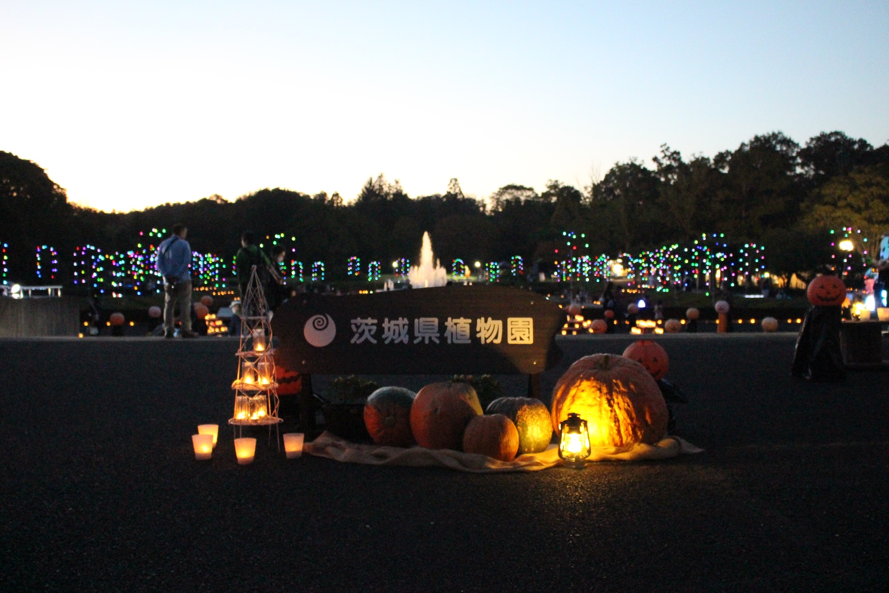 展示・体験】ハロウィーンda植物園 – 茨城県植物園